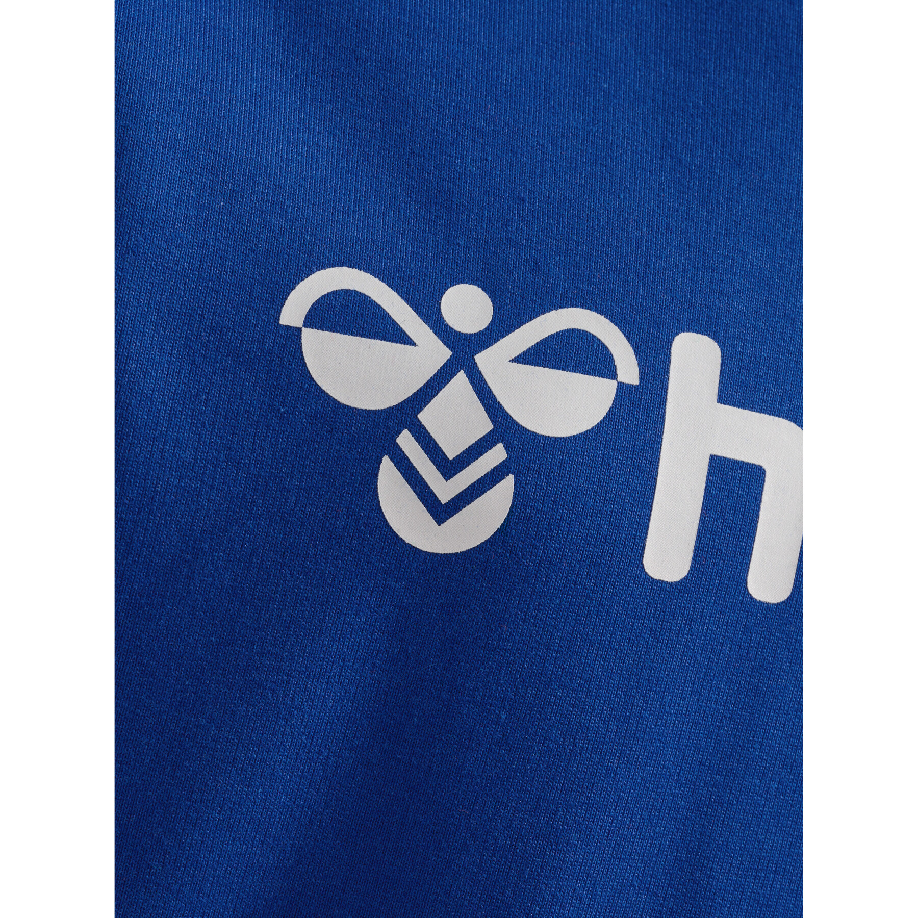 Sweatshirt à capuche enfant Hummel GO 2.0 Logo