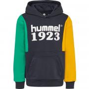 Sweatshirt à capuche kid Hummel hmlpresley