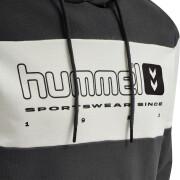 Sweatshirt à capuche Hummel hmlLGC musa