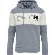 Sweatshirt à capuche Hummel hmlLGC musa
