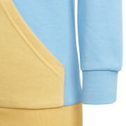 Sweatshirt à capuche enfant adidas Essentials Colorblock